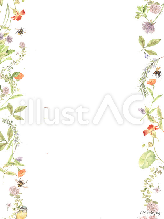花枠５９０爽やかハーブの便箋 水彩画,手描き水彩,花のイラスト素材