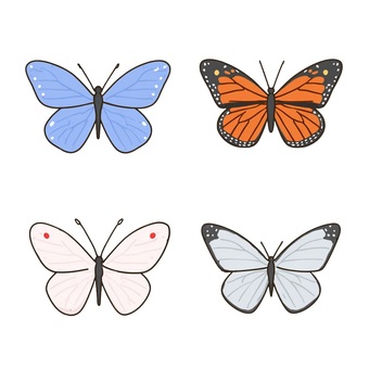 カラフルな蝶々のイラストセット