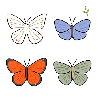 手描き風の蝶々イラストセット