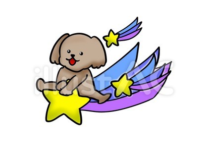 流れ星に乗る犬