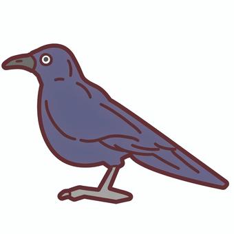 からすのかわいいイラスト カラス,鳥,黒,羽,賢い,忌み鳥,頭がいい,害獣,生き物,動物のイラスト素材