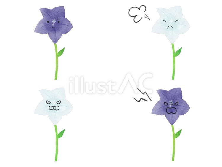 花のキャラの表情セット　怒　キキョウ キキョウ,花,キャラクターのイラスト素材