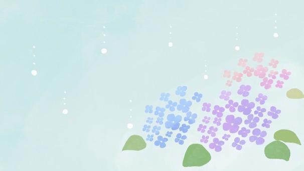 雨の中のあじさい壁紙 紫陽花,梅雨,壁紙,初夏,花,かわいいのイラスト素材