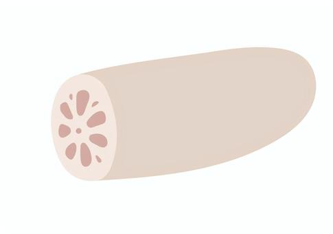 れんこん れんこん,レンコン,蓮根,根菜,冬,秋,野菜,農業,菜園,栽培のイラスト素材