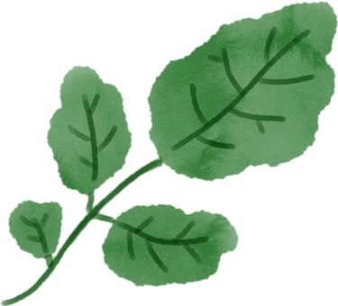 Illustration, ha ha, plant, green, 