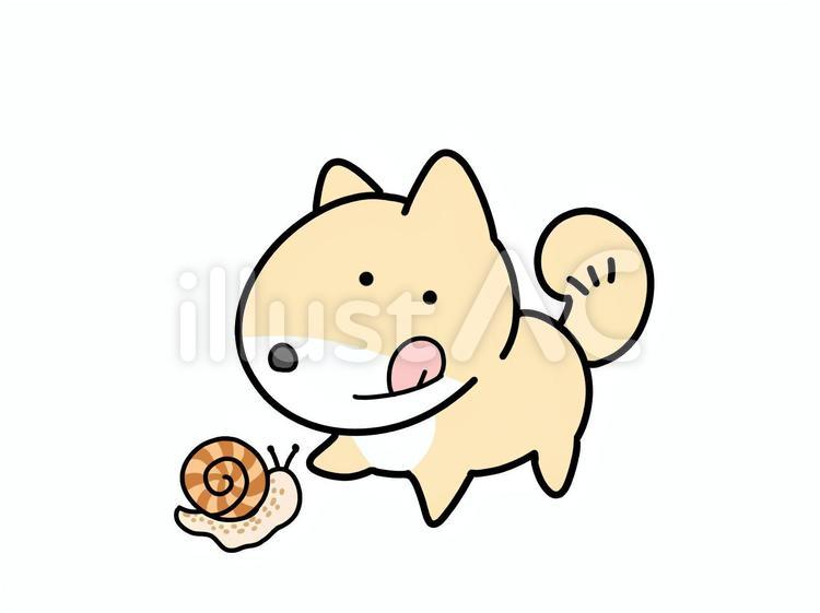 かたつむり柴犬 犬,蝸牛,柴犬のイラスト素材