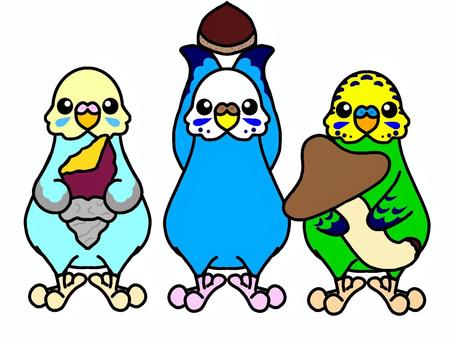 インコイラスト 無料イラストなら イラストac