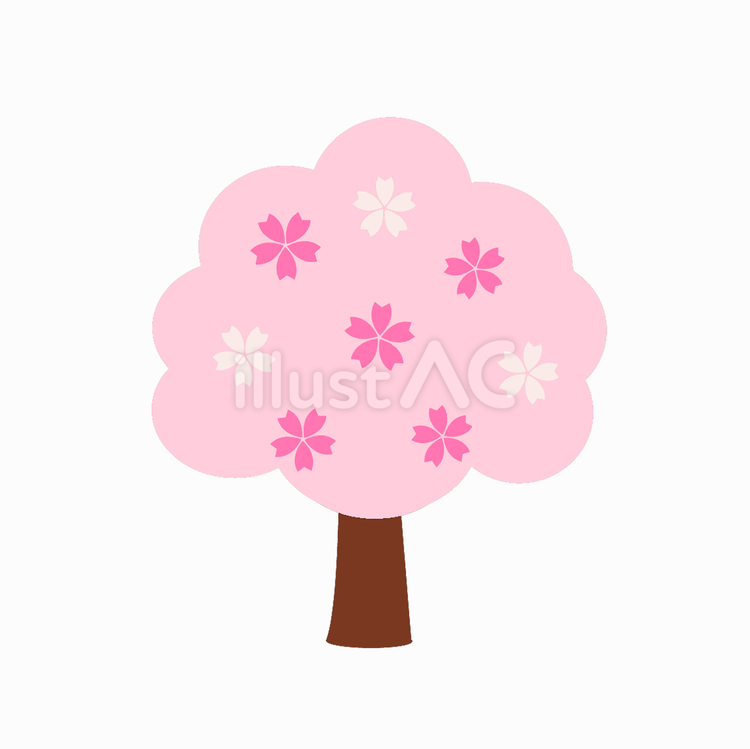 桜の木のイラスト　背景透過 桜,春,満開のイラスト素材