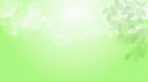 キラキラ光る新緑イメージ背景 2 背景,新緑,キラキラ,春,初夏,夏,高原,緑,葉,葉っぱのイラスト素材