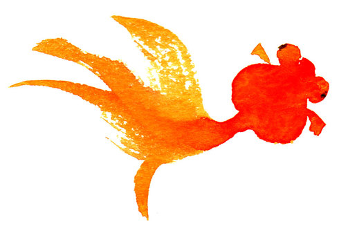 Illustration, demekin, goldfish, summer, 