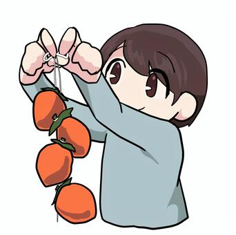 柿を吊るす男性 柿,吊るす,干す,食べ物,秋,人物,男性,バストアップ,生活,素材のイラスト素材
