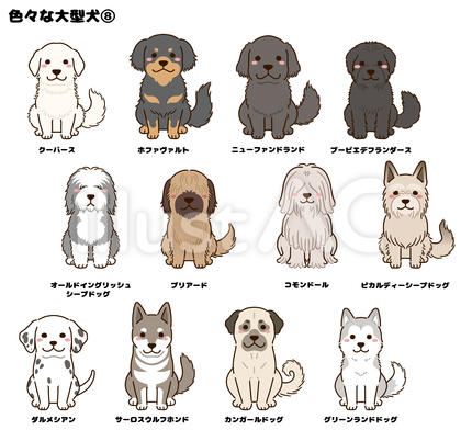 色々な大型犬⑧