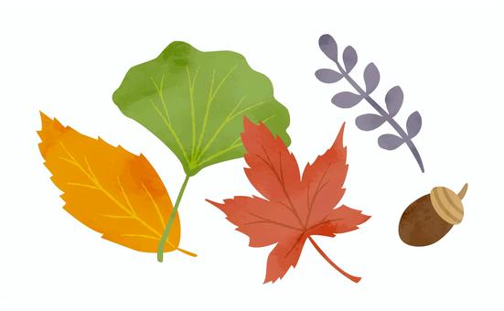 秋の木の実と落ち葉のシンプルイラスト2 秋,花,植物,水彩,手書き,簡単,イメージ,落ち葉,季節,10月のイラスト素材