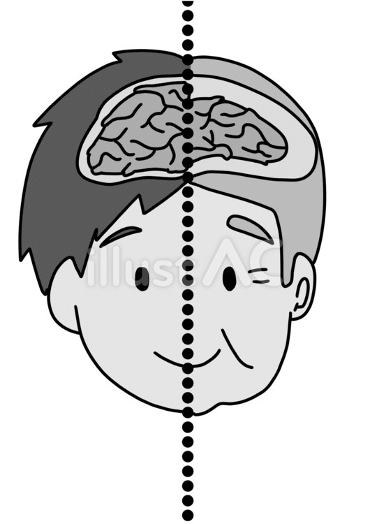 加齢による脳萎縮している男性　白黒 高齢者,男性,脳のイラスト素材