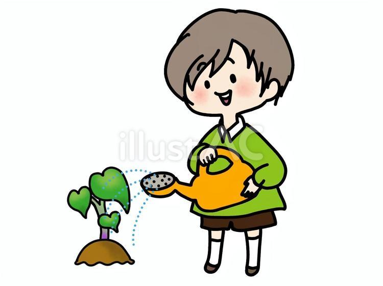 サツマイモの苗に水やりをする男の子 男の子,水やり,ジョウロのイラスト素材