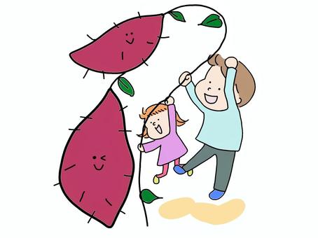さつまいもを掘る子ども