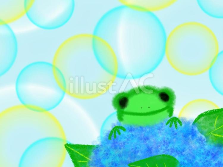 あじさいとカエル あじさい,カエル,青のイラスト素材
