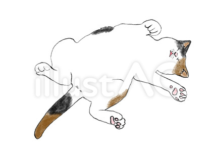 ねこ へそ天 05 三毛