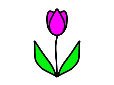 ピンク色のチューリップ