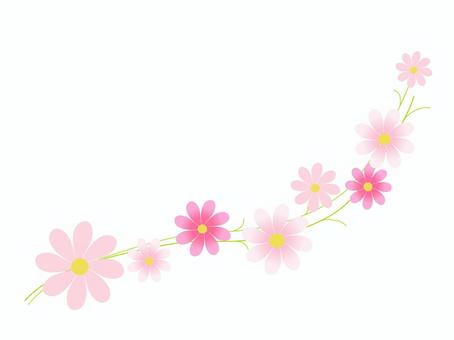 秋桜（コスモス）の飾り罫線 秋桜,コスモス,秋,花,ライン,植物,飾り罫線,自然,透過,きれいのイラスト素材
