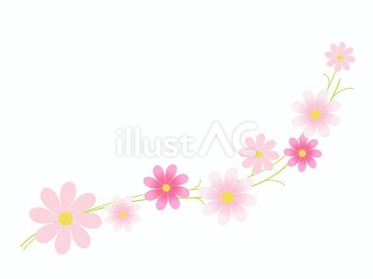 秋桜（コスモス）の飾り罫線 秋桜,コスモス,秋のイラスト素材