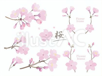 花の飾り枠68_桜