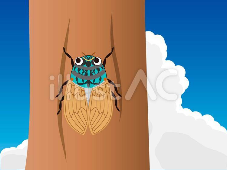 セミと入道雲の背景のイラストイラスト No 無料イラストなら イラストac