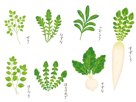 春の七草 春の七草,七草,七草粥,せり,なずな,ごぎょう,はこべら,ほとけのざ,すずな,すずしろのイラスト素材