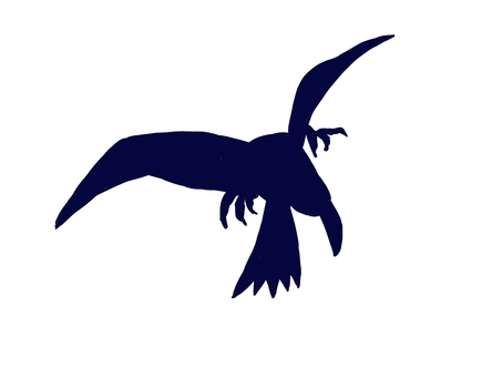 カラス飛ぶシルエット カラス,全身,一羽,両翼,シルエット,濃い青のイラスト素材