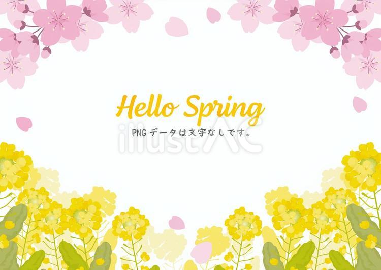 シンプルな桜と菜の花のフレーム 春,お花見,桜祭りのイラスト素材