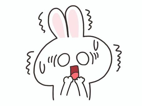 震えるうさぎ