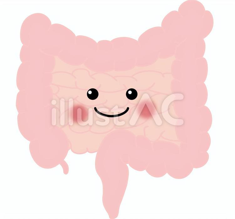 顔つき　腸 顔つき,脳,脳腸相関のイラスト素材