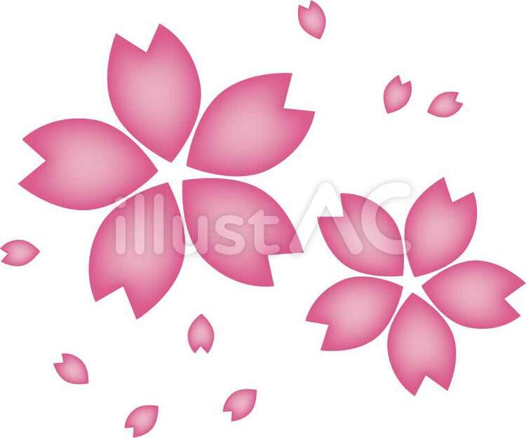桜の花 桜,花,春のイラスト素材