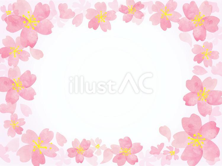 水彩桜のフレーム 桜,花,春のイラスト素材