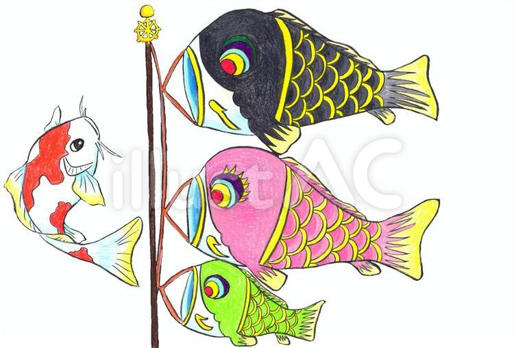 鯉と鯉のぼり 鯉のぼり,子どもの日,端午の節句のイラスト素材