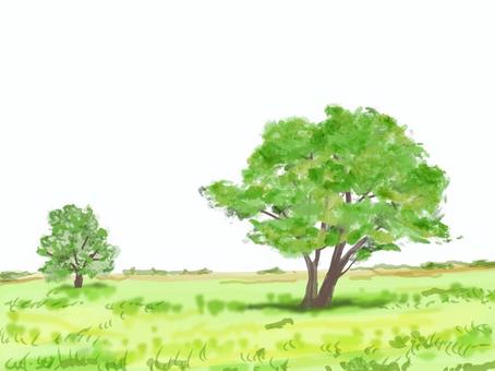 木 木 木,草原,風景,水彩風,手描きのイラスト素材
