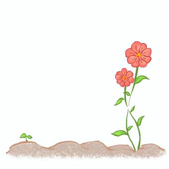 Illustration, flower, red, leaf, 