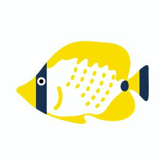Illustration, butterflyfish, peixe tropical, peixe, 