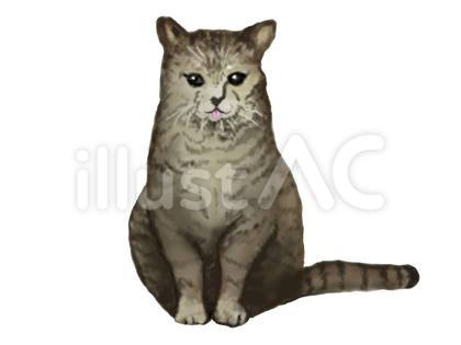 猫 ベロ出し