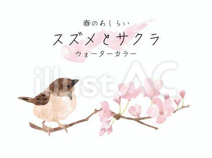 サクラとスズメ、水彩風の春のあしらい-2