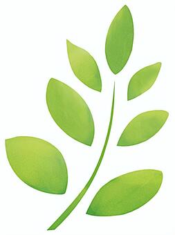 leaf, JPG leaf, , JPG
