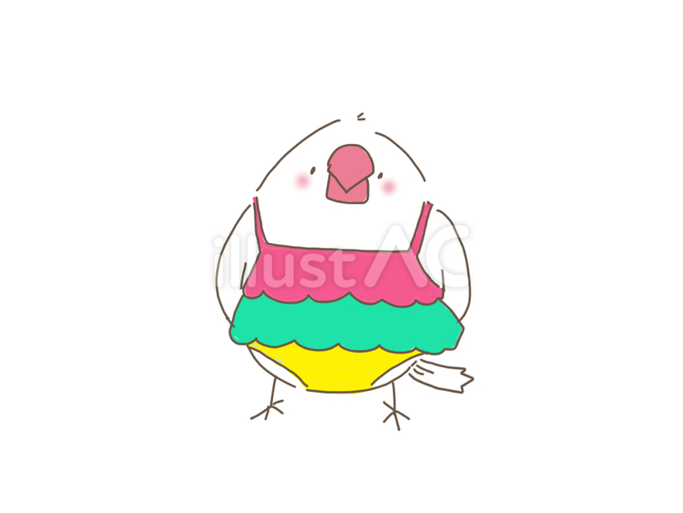 夏文鳥その4　水着を着た文鳥 文鳥,ペット,小鳥のイラスト素材