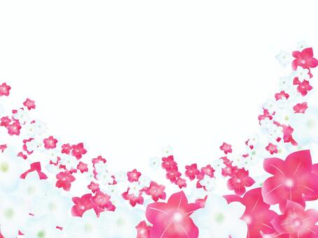 ８月９日の誕生花イラスト 無料イラストなら イラストac