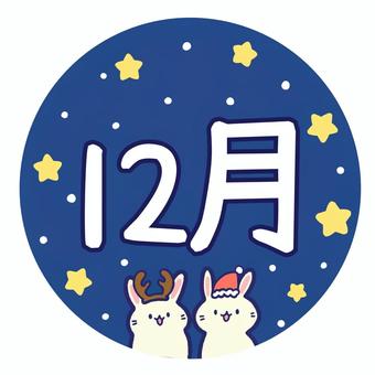 うさぎとクリスマスの冬の12月 うさぎ,動物,ゆるい,かわいい,シンプル,12月,月,月刊,暦,12のイラスト素材