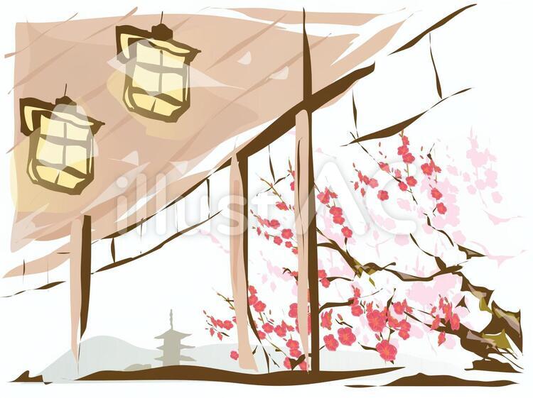 ウメ　風景 ウメ,梅,植物のイラスト素材