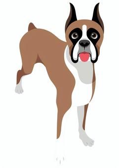 ボクサー犬