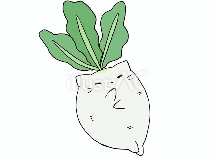セクシーだいこんぬこ ねこ,白猫,大根のイラスト素材