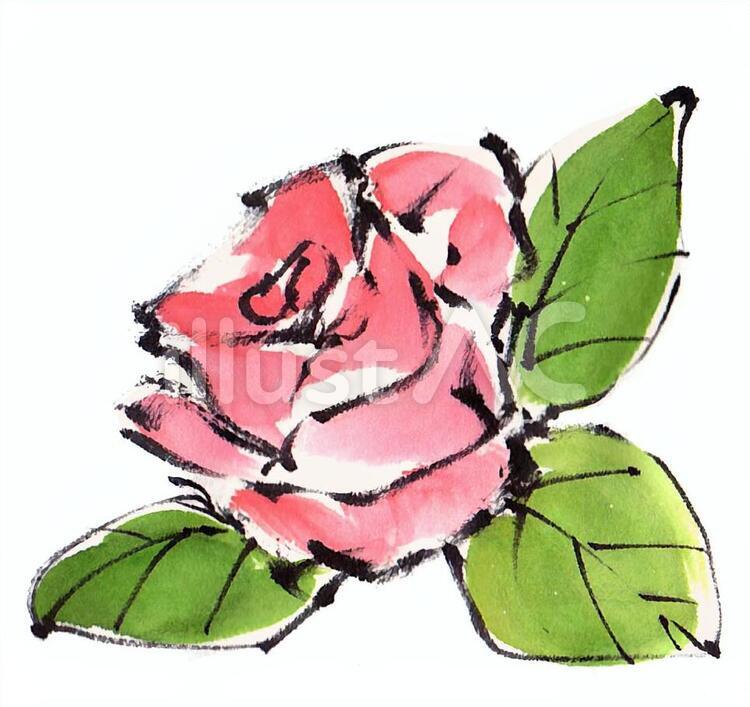 《手描き素材》ばら 薔薇,ばら,バラのイラスト素材