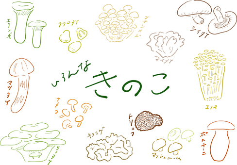 いろんなきのこ＿カラフル線画 きのこ,食育,線画,手書き,手作り,ゆるい,シンプル,オシャレ,おしゃれ,手描きのイラスト素材