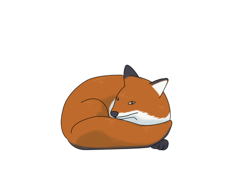 Illustration, uma raposa, raposas vermelhas, animal, 